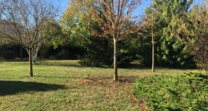 La Salvetat-Saint-Gilles Maison neuve - 2344607-9555annonce1202511202Tu0J.jpeg Maisons France Confort