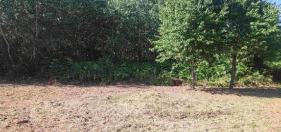 Terrain à bâtir à Nouan-le-Fuzelier, Centre-Val de Loire