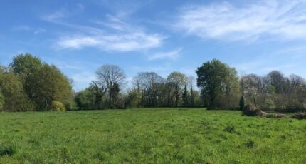 Villemur-sur-Tarn Maison neuve - 2347758-3925annonce120251124mn1zS.jpeg Maisons France Confort