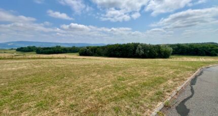 Le Miroir Maison neuve - 2347944-754annonce120251124mCFTl.jpeg Maisons France Confort