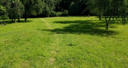 Chessy Maison neuve - 2349387-11231annonce120251126NrRUA.jpeg Maisons France Confort