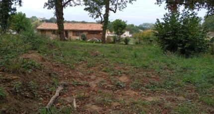 La Sauve Terrain à bâtir - 2287531-11596annonce120250929twFhT.jpeg Maisons France Confort