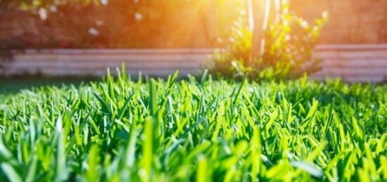 Terrain à bâtir à , Seine-et-Marne