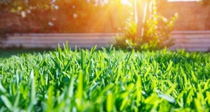 Les Chapelles-Bourbon Maison neuve - 2286262-9569annonce320250927iP210.jpeg Maisons France Confort