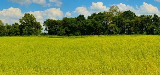 Terrain à bâtir à Gujan-Mestras, Nouvelle-Aquitaine