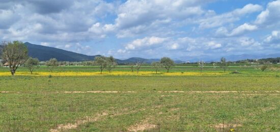 Maison neuve à , Alpes-de-Haute-Provence