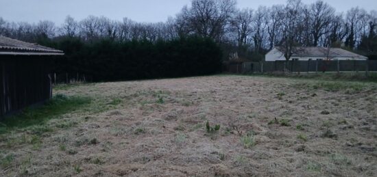 Terrain à bâtir à Saint-Genès-de-Lombaud, Nouvelle-Aquitaine