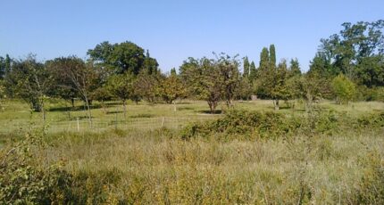 Aubignan Terrain à bâtir - 2249484-695annonce320250823vK0O2.jpeg Maisons France Confort