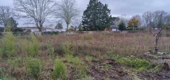 Terrain à bâtir à Lesperon, Nouvelle-Aquitaine