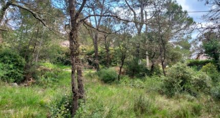 Rocbaron Maison neuve - 2246703-11137annonce220250408MX7AO.jpeg Maisons France Confort