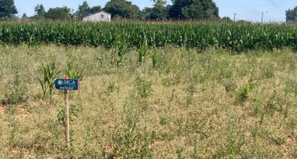 Balanzac Terrain à bâtir - 2353980-1046annonce120250804Qvo3k.jpeg Maisons France Confort