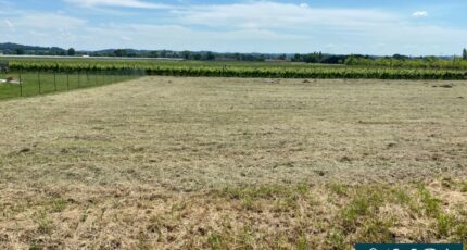 Vélines Maison neuve - 2354112-4459annonce120241022CS0KU.jpeg Maisons France Confort