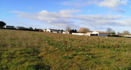 Grézac Maison neuve - 2316738-11644annonce120251024q5ZBR.jpeg Maisons France Confort