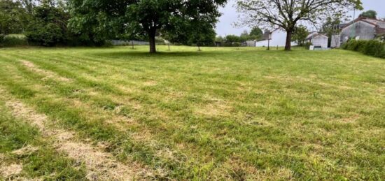 Terrain à bâtir à Jussac, Auvergne-Rhône-Alpes