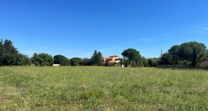 Thuir Terrain à bâtir - 2310826-11457annonce120251020TG7Op.jpeg Maisons France Confort