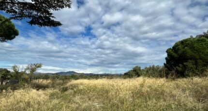 Castelnou Maison neuve - 2315764-11457annonce120251023uUv1c.jpeg Maisons France Confort