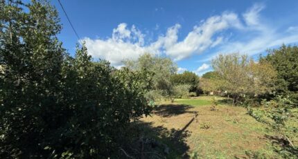 La Crau Maison neuve - 2354590-11136annonce220251202xy57s.jpeg Maisons France Confort