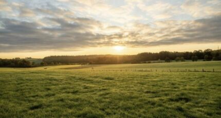 Le Barp Maison neuve - 2354628-11358annonce120251202MIGfo.jpeg Maisons France Confort