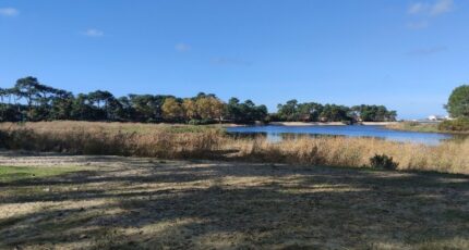 Mimizan Terrain à bâtir - 2354769-11675annonce120251202agcT0.jpeg Maisons France Confort