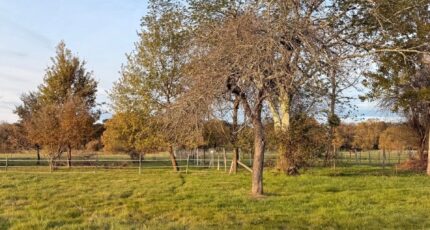 Prigonrieux Maison neuve - 2354937-11709annonce120251202PnCnB.jpeg Maisons France Confort