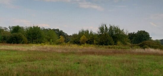 Terrain à bâtir à Balizac, Nouvelle-Aquitaine