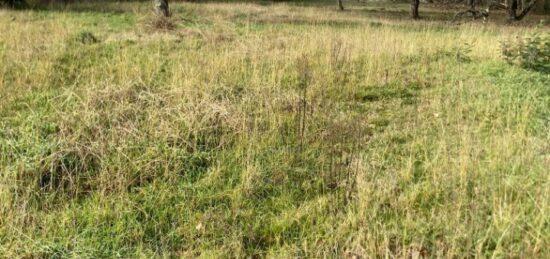 Terrain à bâtir à Le Taillan-Médoc, Nouvelle-Aquitaine