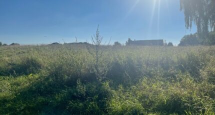 Saint-Germain-sur-Morin Maison neuve - 2355422-11233annonce120251203TpoFv.jpeg Maisons France Confort