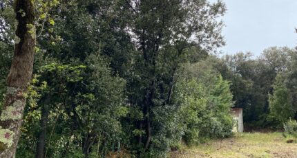 Saint-Pierre-d'Oléron Maison neuve - 2355655-11194annonce320251203tiUm9.jpeg Maisons France Confort