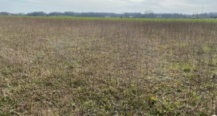 Archingeay Terrain à bâtir - 2355703-11194annonce320251203Aw9TG.jpeg Maisons France Confort