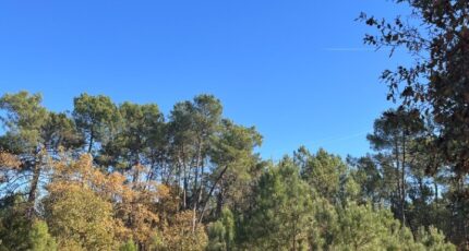 Le Pian-Médoc Maison neuve - 2355757-11303annonce120251203ZKGn8.jpeg Maisons France Confort