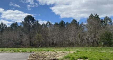 Saint-Selve Maison neuve - 2355993-10509annonce120251203FAuCJ.jpeg Maisons France Confort