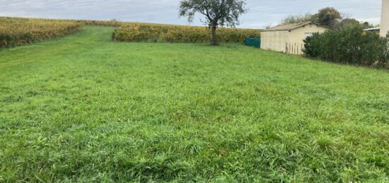 Terrain à bâtir à Saint-Sauveur-de-Puynormand, Nouvelle-Aquitaine