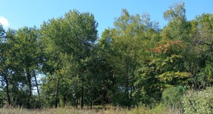 Sallebœuf Maison neuve - 2293645-11596annonce1202510036JTdn.jpeg Maisons France Confort