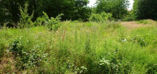 Terrain à bâtir à Margaux, Nouvelle-Aquitaine