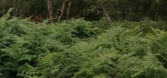 Terrain à bâtir à Saint-Aubin-de-Médoc, Nouvelle-Aquitaine