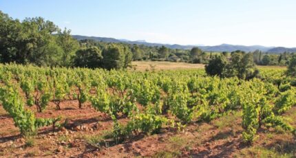 Carcès Terrain à bâtir - 2356455-5922annonce320251204cxtl4.jpeg Maisons France Confort