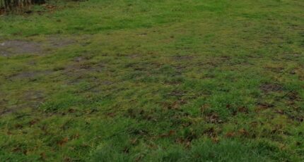 Le Teich Terrain à bâtir - 2291421-11279annonce120251002xTnyt.jpeg Maisons France Confort