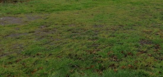 Terrain à bâtir à Le Teich, Nouvelle-Aquitaine