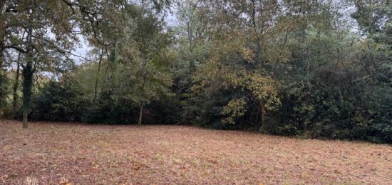 Terrain à bâtir à Louchats, Nouvelle-Aquitaine