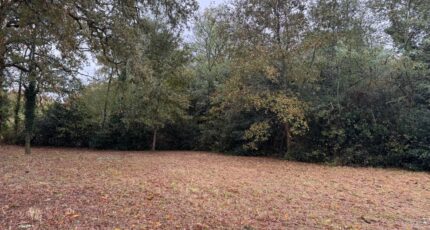 Louchats Maison neuve - 2356658-11273annonce120251204MuqFt.jpeg Maisons France Confort