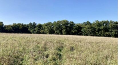 Castelnau-de-Médoc Maison neuve - 2356640-7351annonce120251204d1Xhs.jpeg Maisons France Confort