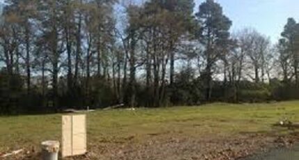 Pissos Maison neuve - 2356831-3127annonce12024031183dfa.jpeg Maisons France Confort