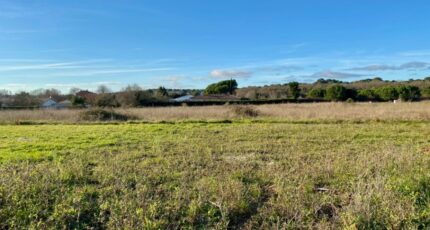 Saint-Palais-sur-Mer Terrain à bâtir - 2357131-11163annonce120250708VfLfp.jpeg Maisons France Confort