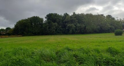 Sadirac Maison neuve - 2357640-11266annonce1202510319aehT.jpeg Maisons France Confort