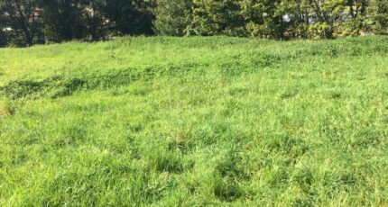 Ceyzériat Terrain à bâtir - 2357761-754annonce120251204XQ7IW.jpeg Maisons France Confort