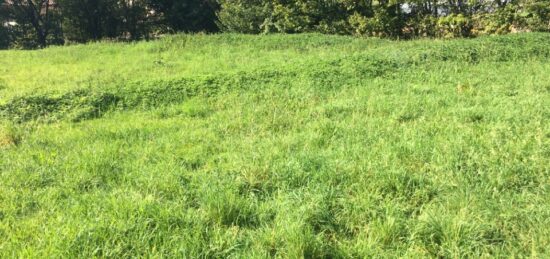 Terrain à bâtir à Ceyzériat, Auvergne-Rhône-Alpes