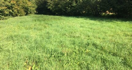 Ceyzériat Terrain à bâtir - 2357761-754annonce220251204rC2LZ.jpeg Maisons France Confort