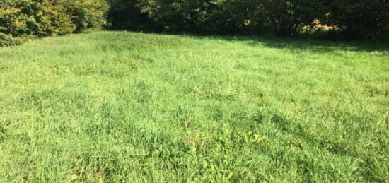 Terrain à bâtir à , Ain