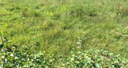 Servas Terrain à bâtir - 2357844-754annonce120251204oBt07.jpeg Maisons France Confort