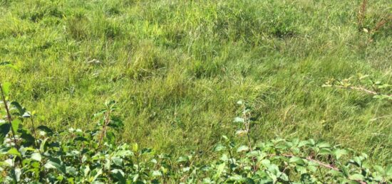 Terrain à bâtir à Servas, Auvergne-Rhône-Alpes